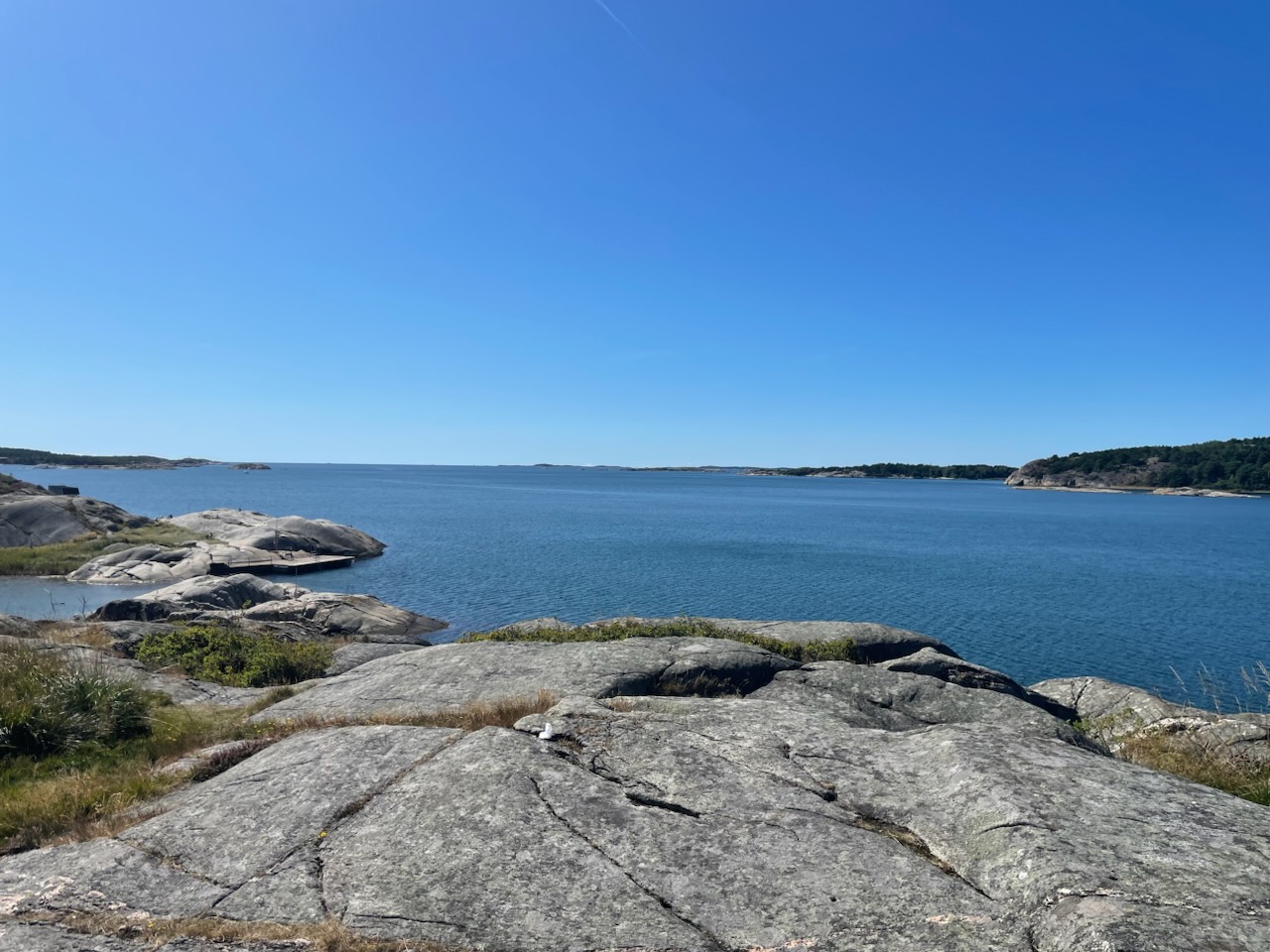 00852f1b-3dec-4230-8a2c-6aa0f689ee9a