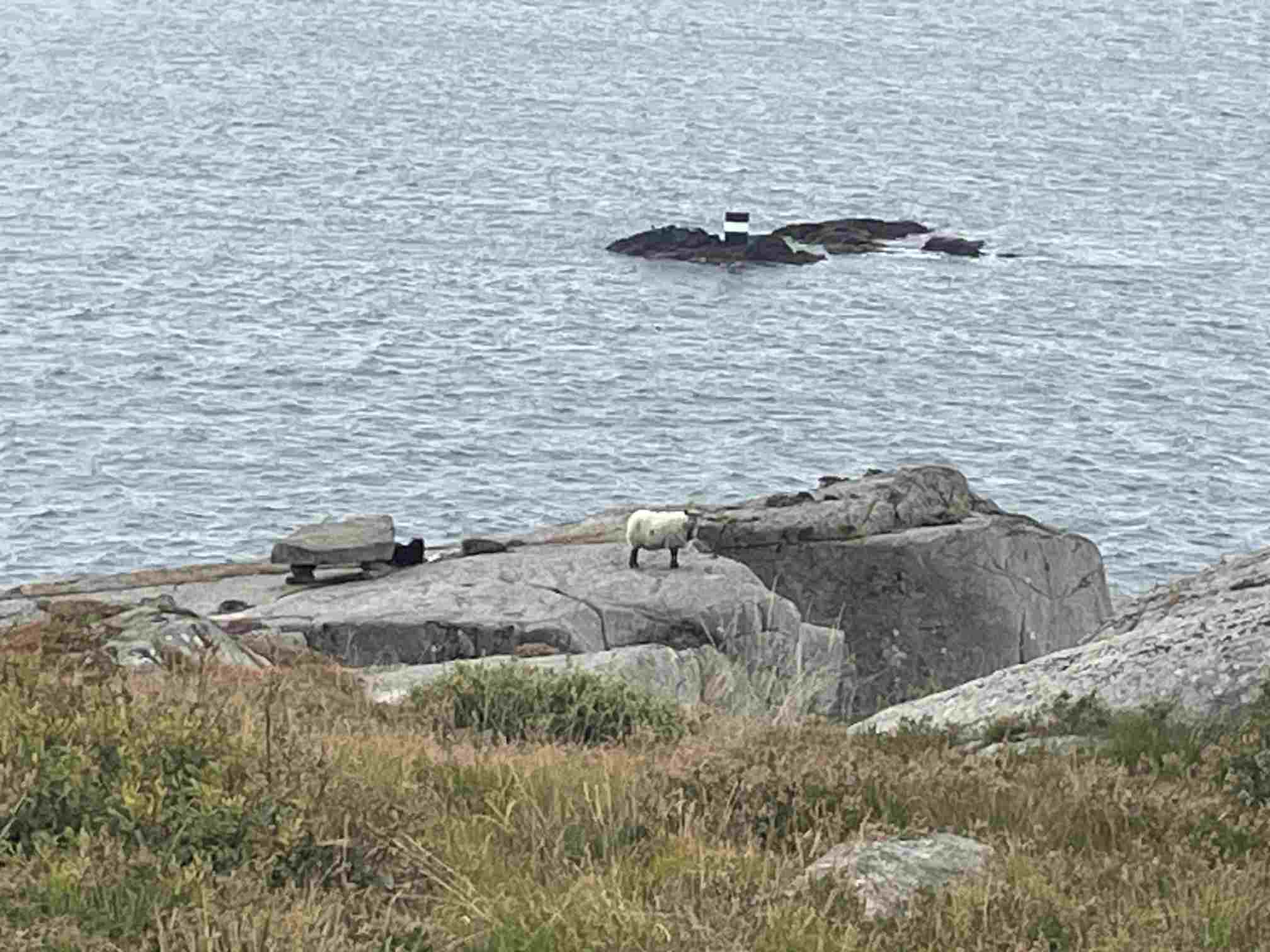 026c32c6-d7f9-44cc-9ad7-65f2671511ca