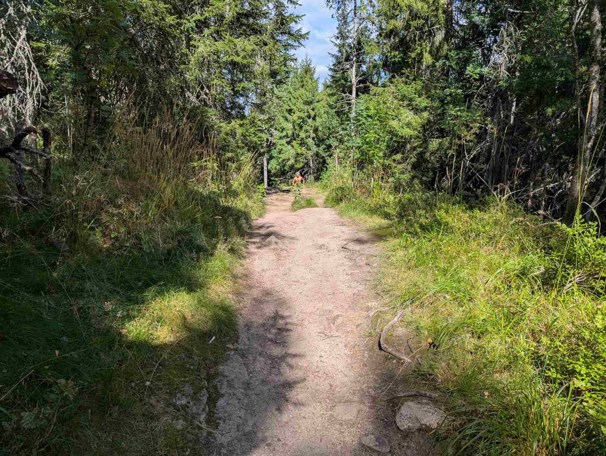 107712bd-f64b-4949-a528-067a581eb837