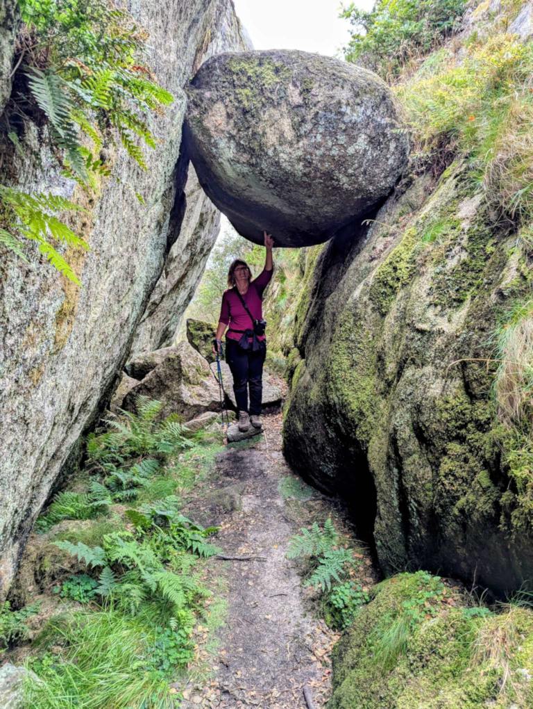 1fee9480-2ad5-4606-b51c-64bdfb404d70