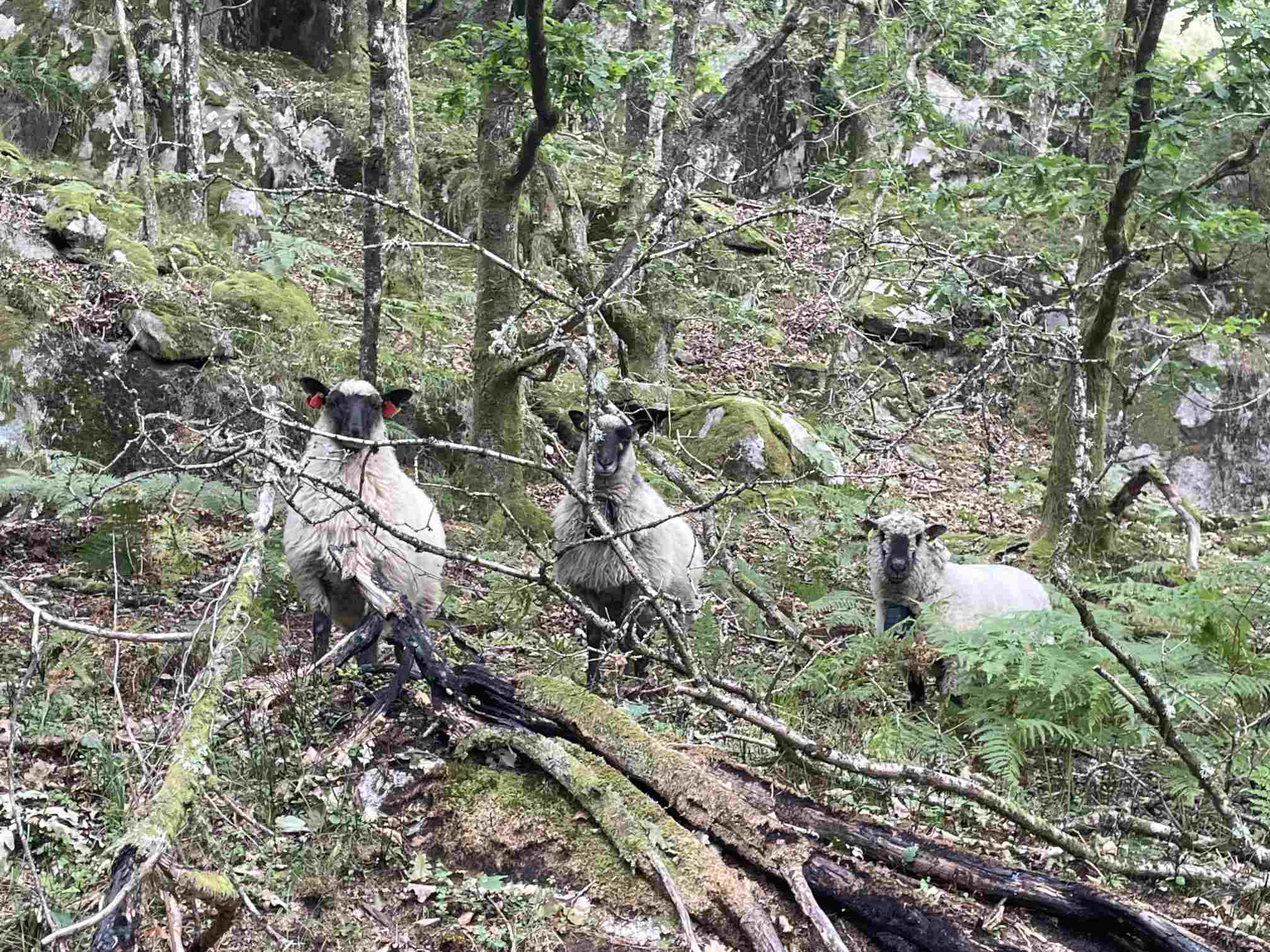 22387885-c67a-4763-b072-5b0ac64c196a