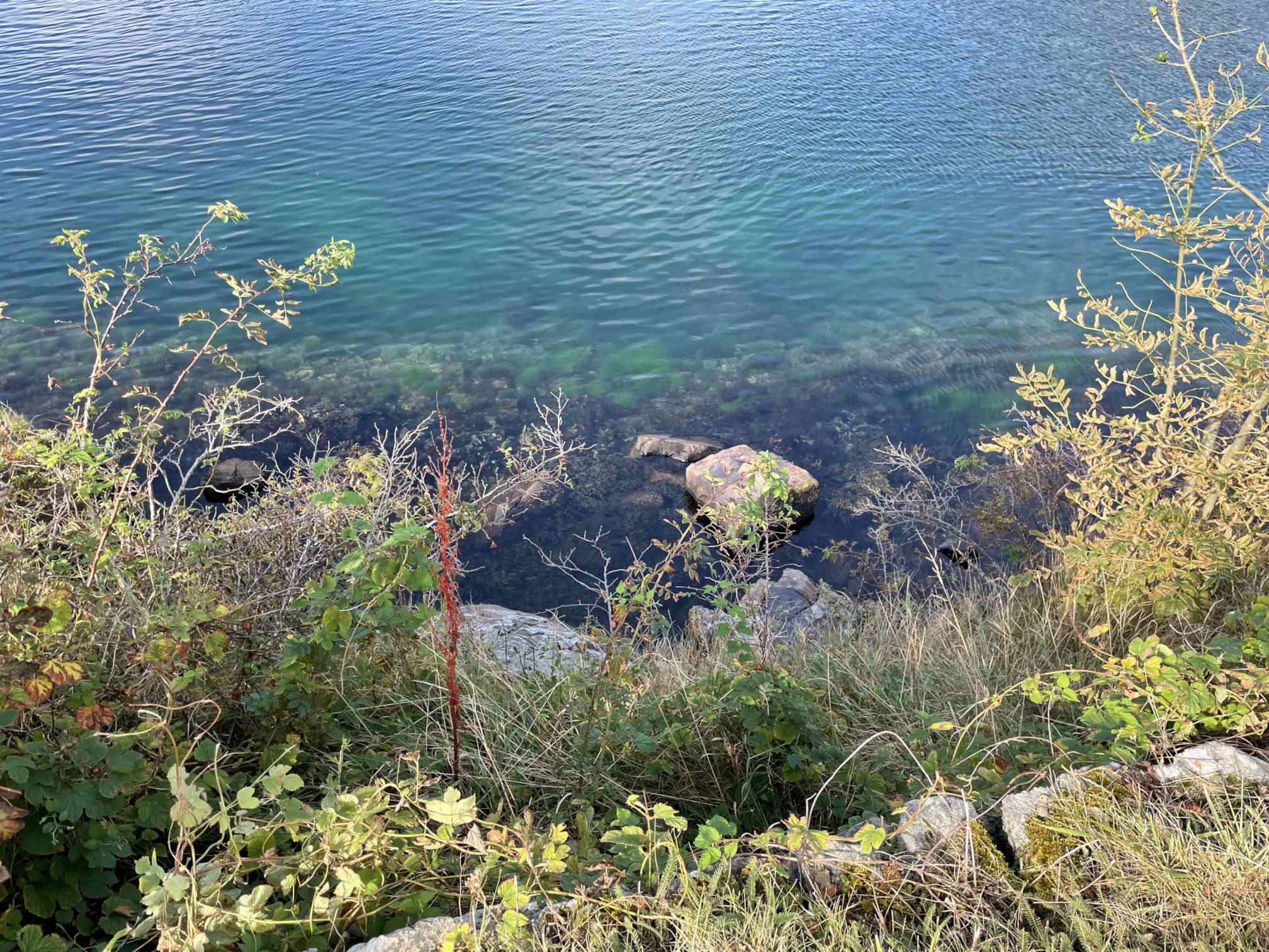 2f18c078-82cd-4b2b-a361-869b4eed732e