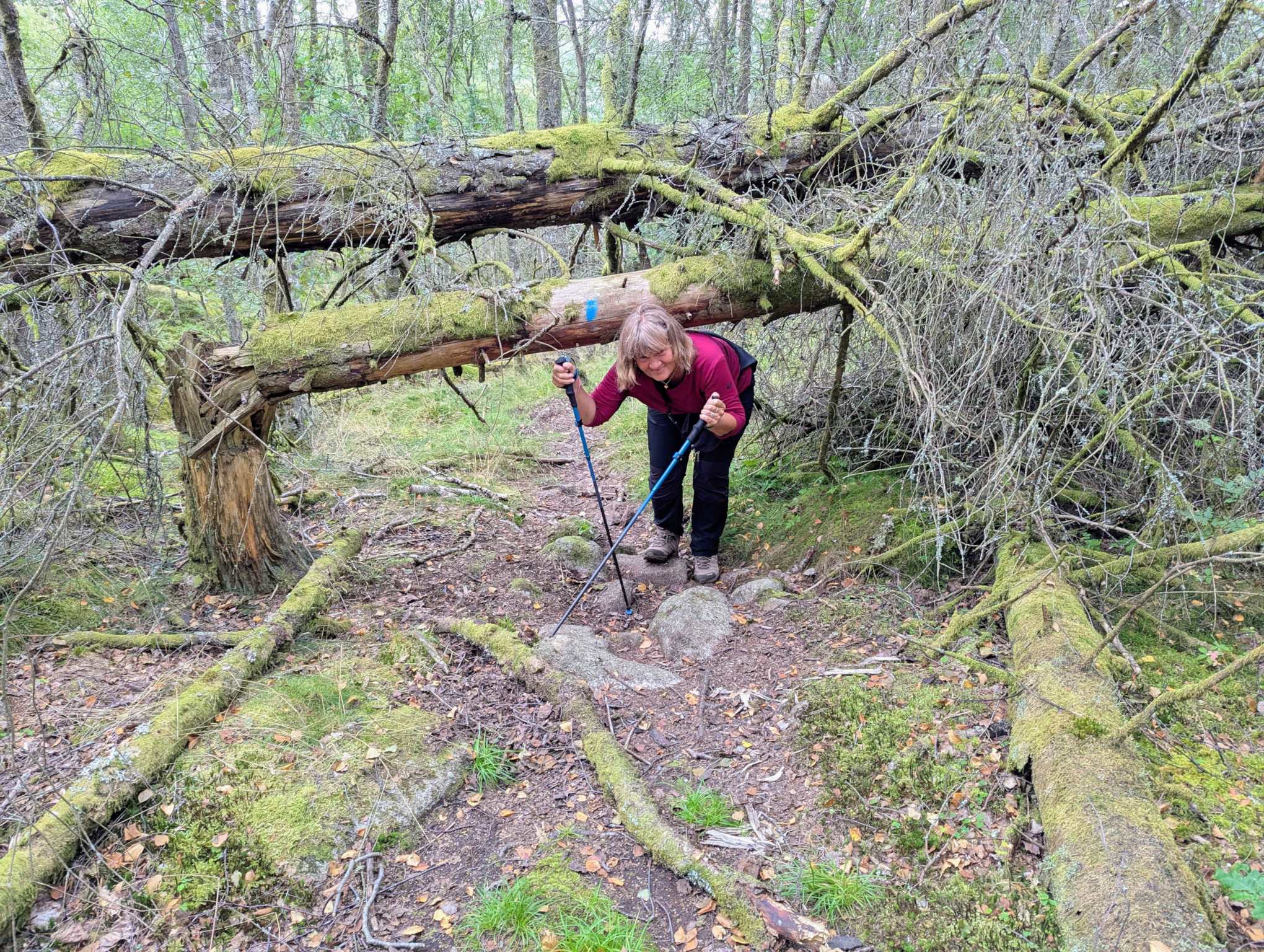 3339d688-d409-4a77-9ef8-0d509c3d3f86