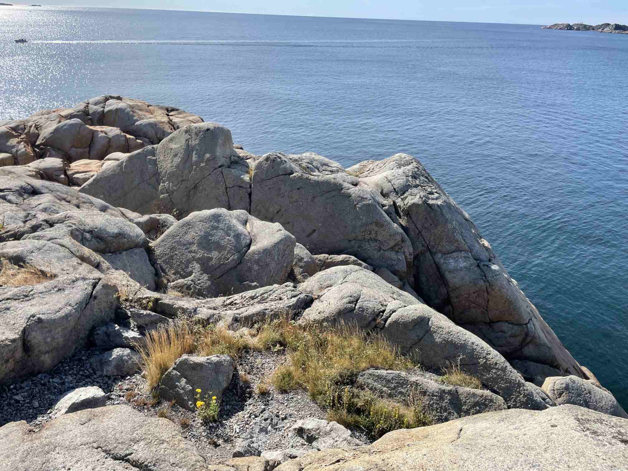 36220e1c-c81f-4865-8d6d-599ae0c5c313