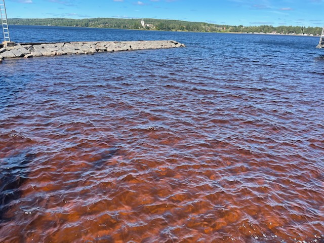 43c12dee-c2fd-434b-826f-cad591bab269 43c12dee-c2fd-434b-826f-cad591bab269