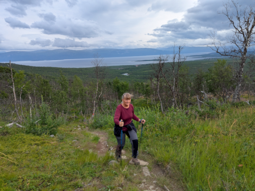 61cf44e3-66c4-4ff6-b94c-19e08003e053