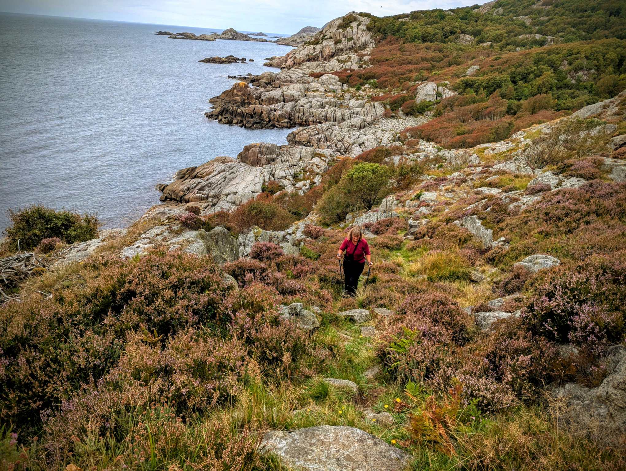 65060a37-2dad-4ccd-8760-d4c4e1a5a639