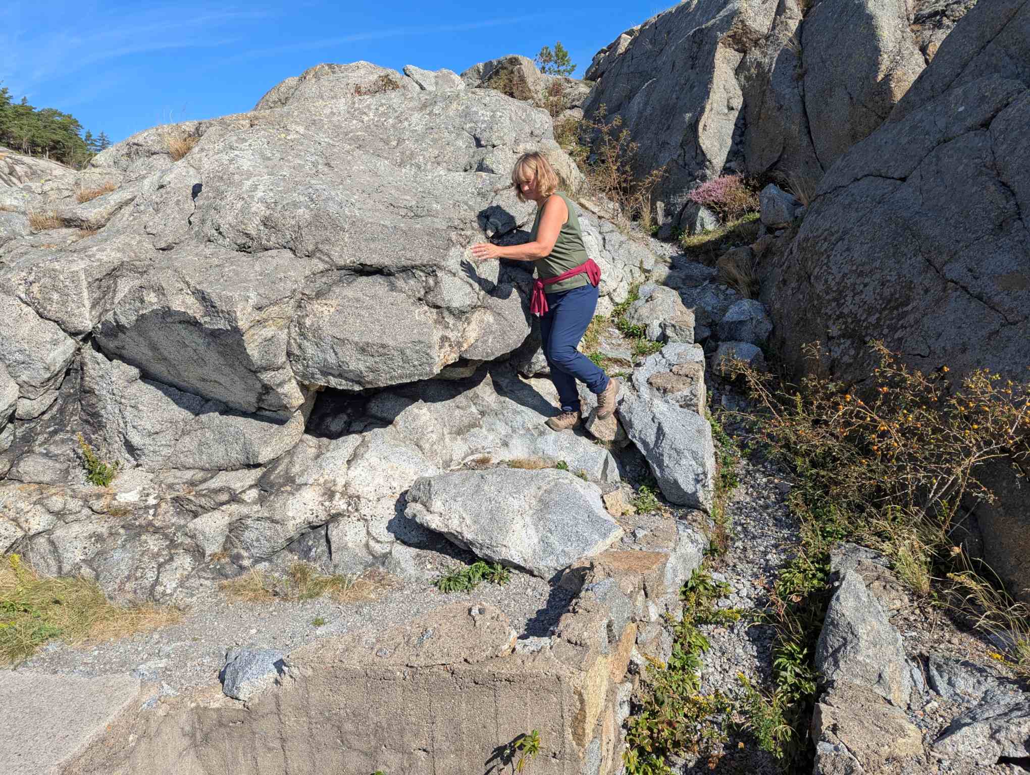 6568c66c-6996-4024-84e2-b887193903f2