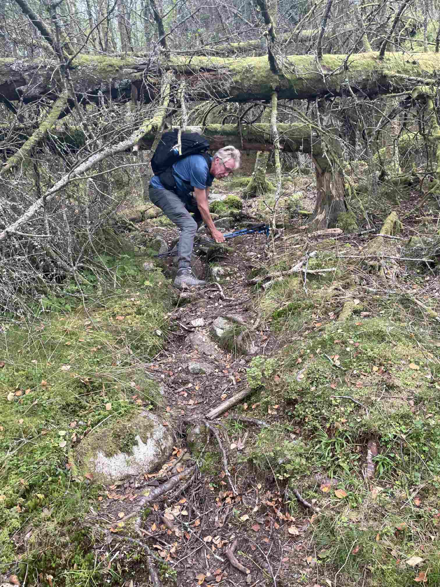 66c4edba-d040-4a0d-bf73-63c314662fae