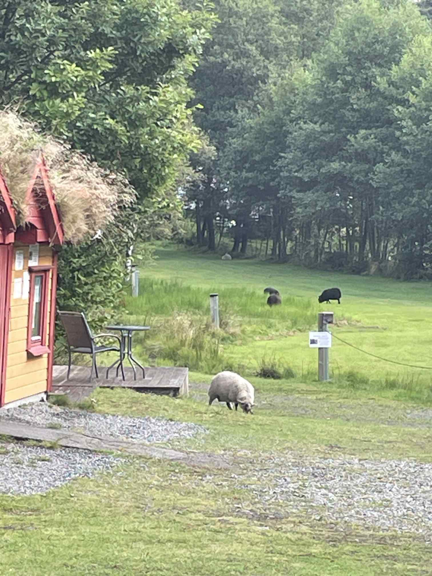 6ab365f2-147d-4845-848b-2ed713d14860