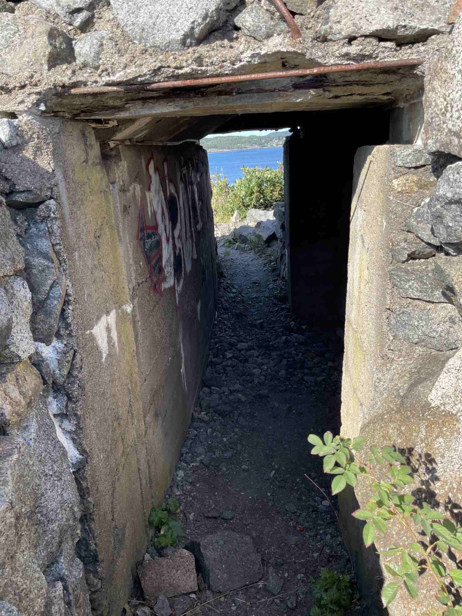 72fee275-03c9-4e02-b492-0241294a6d90