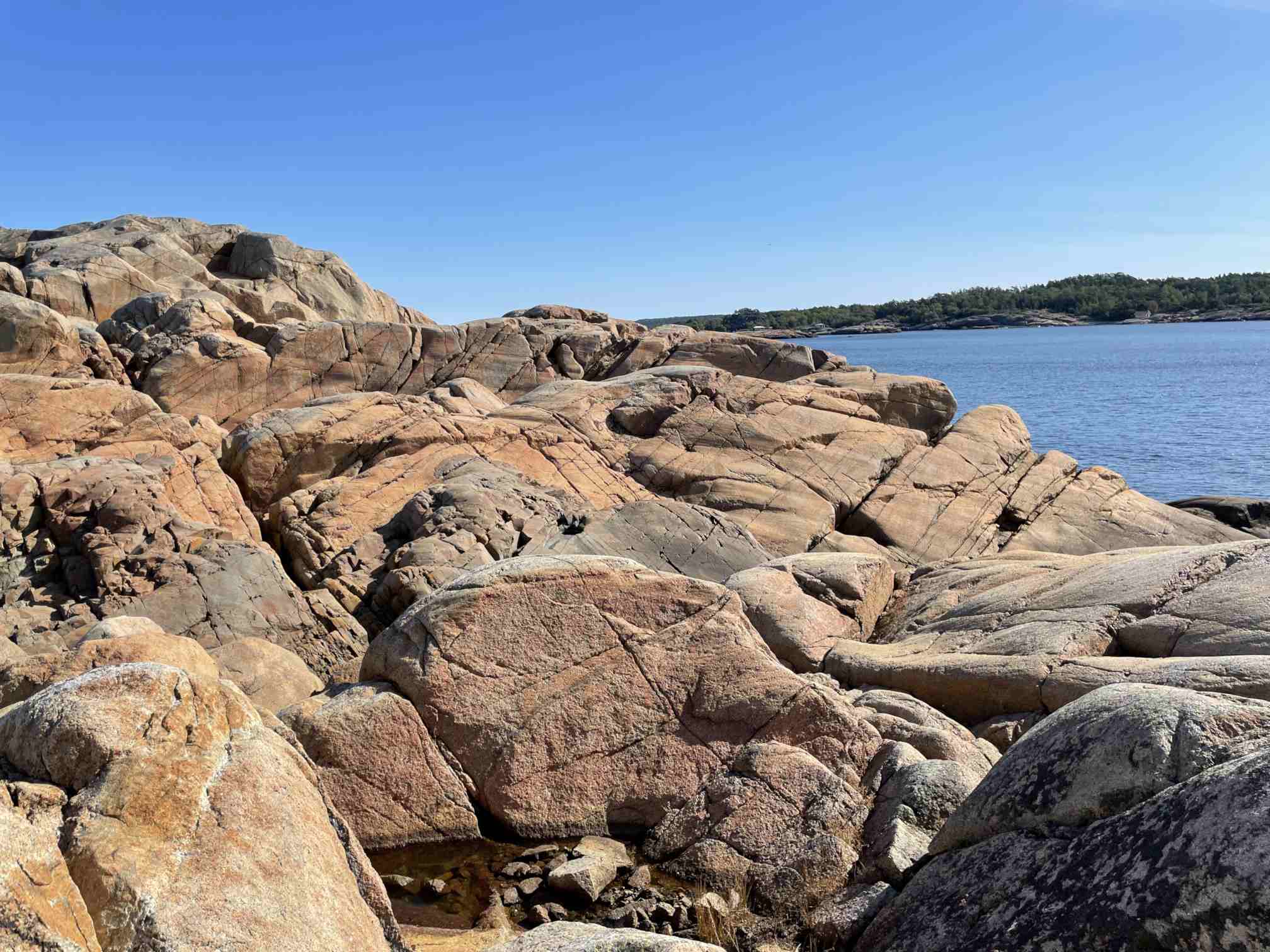 77264232-d584-4d28-8487-5b9664db8857