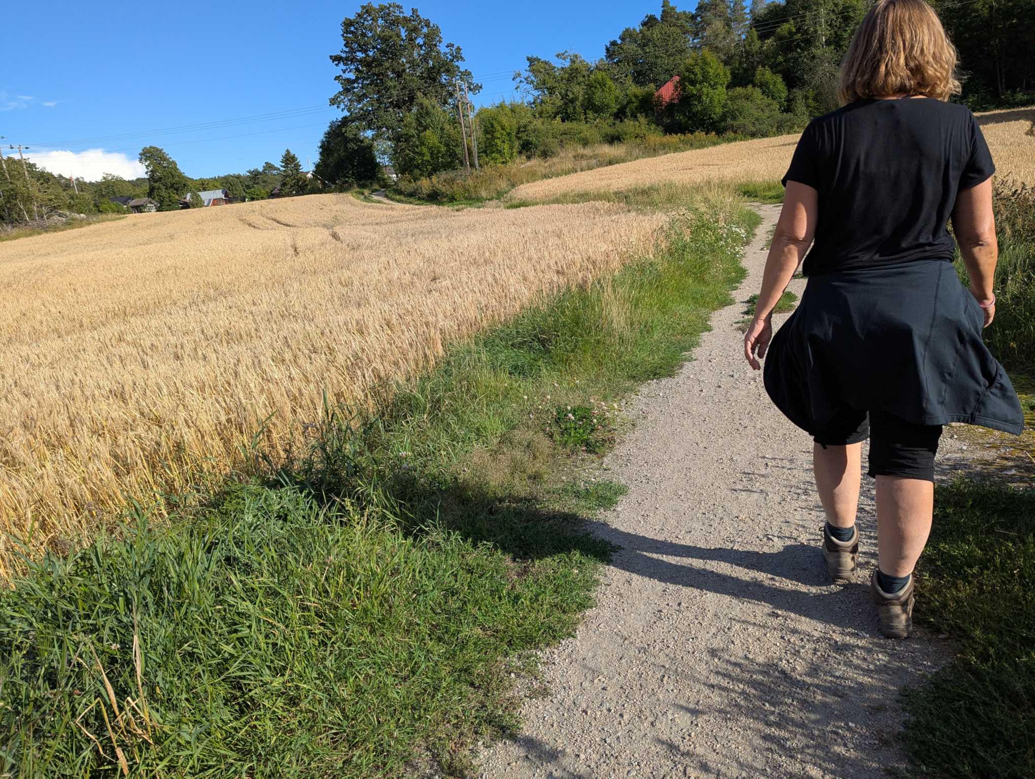 78685724-3b60-4aa2-9b17-6c6838e92577