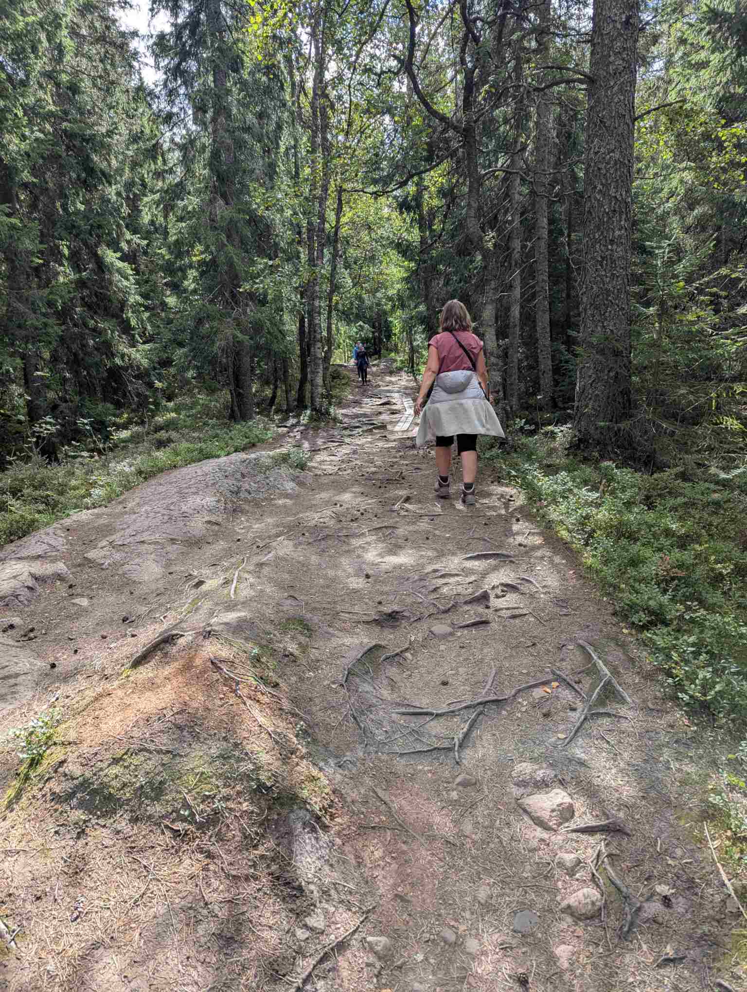 7be15c90-e74f-4ddb-bb60-4c9da83a8a75