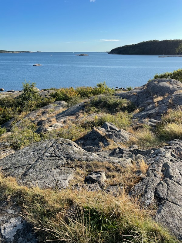 82d93320-7f2a-4cd3-b55f-7dbf00f910d5