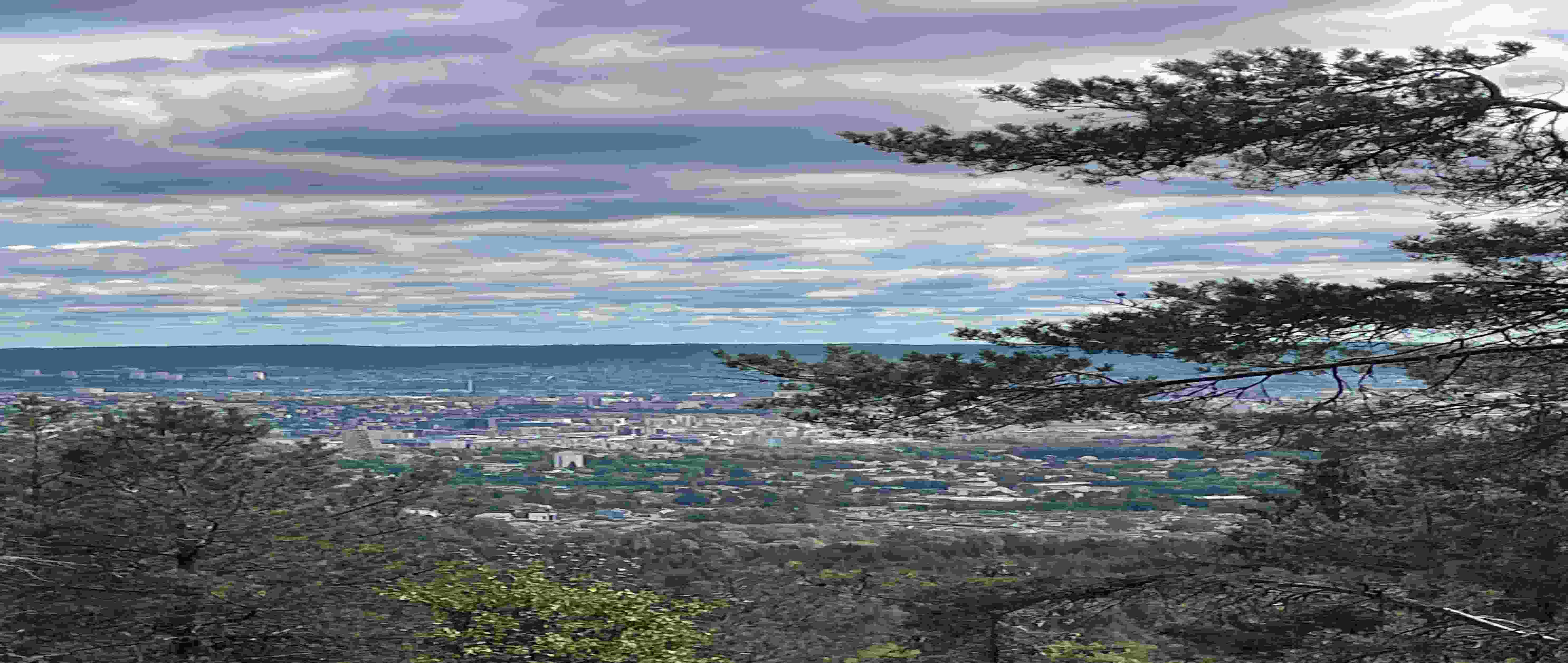 913f4bc8-49c8-4763-bdb1-246dc6b0cc20