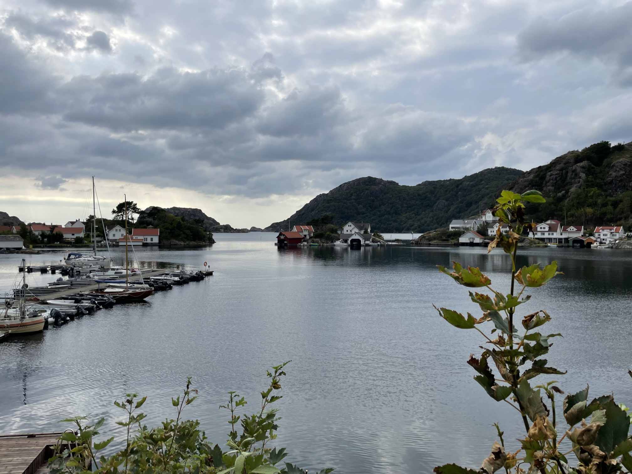 a2154a75-3c46-4fb6-9a84-25b7fc78fd7f