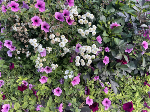 b2f5e72c-6b9c-42b1-ae14-3f1507c51ecc