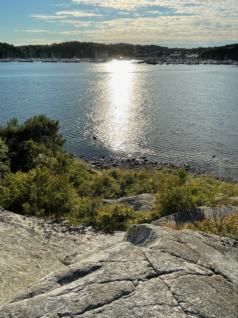 bcee1d95-08fc-42aa-9f58-f219fd229362