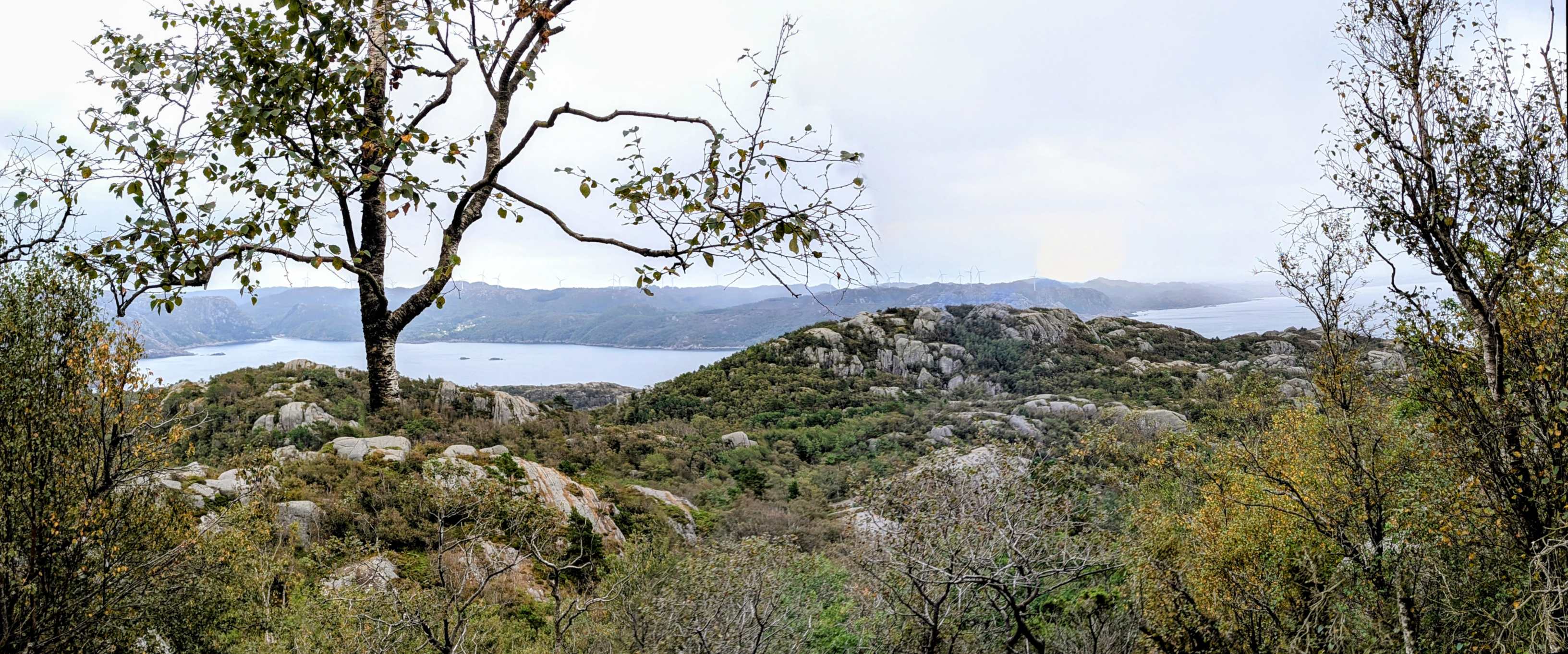 c5446cc3-b4d2-4262-ae3e-60560b59e63a