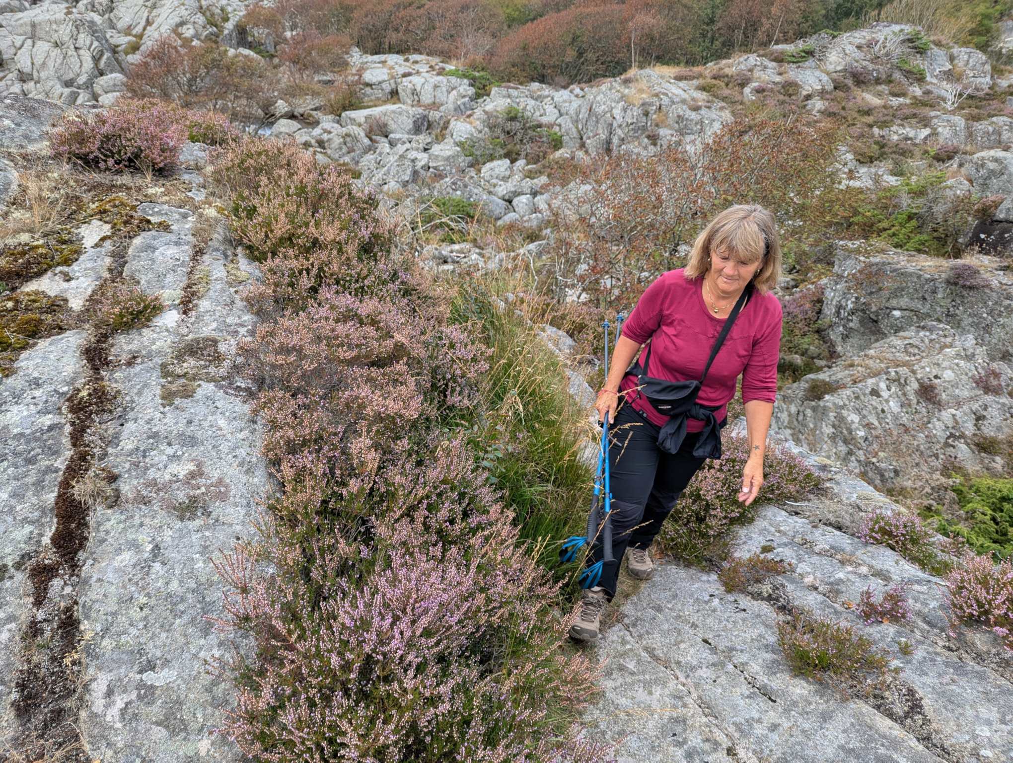 c63afbed-a9b2-4f6d-9f52-5bad5a8e4064