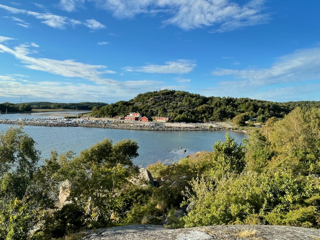 cb5d6585-1919-4489-ba9f-47ab2b351f1e