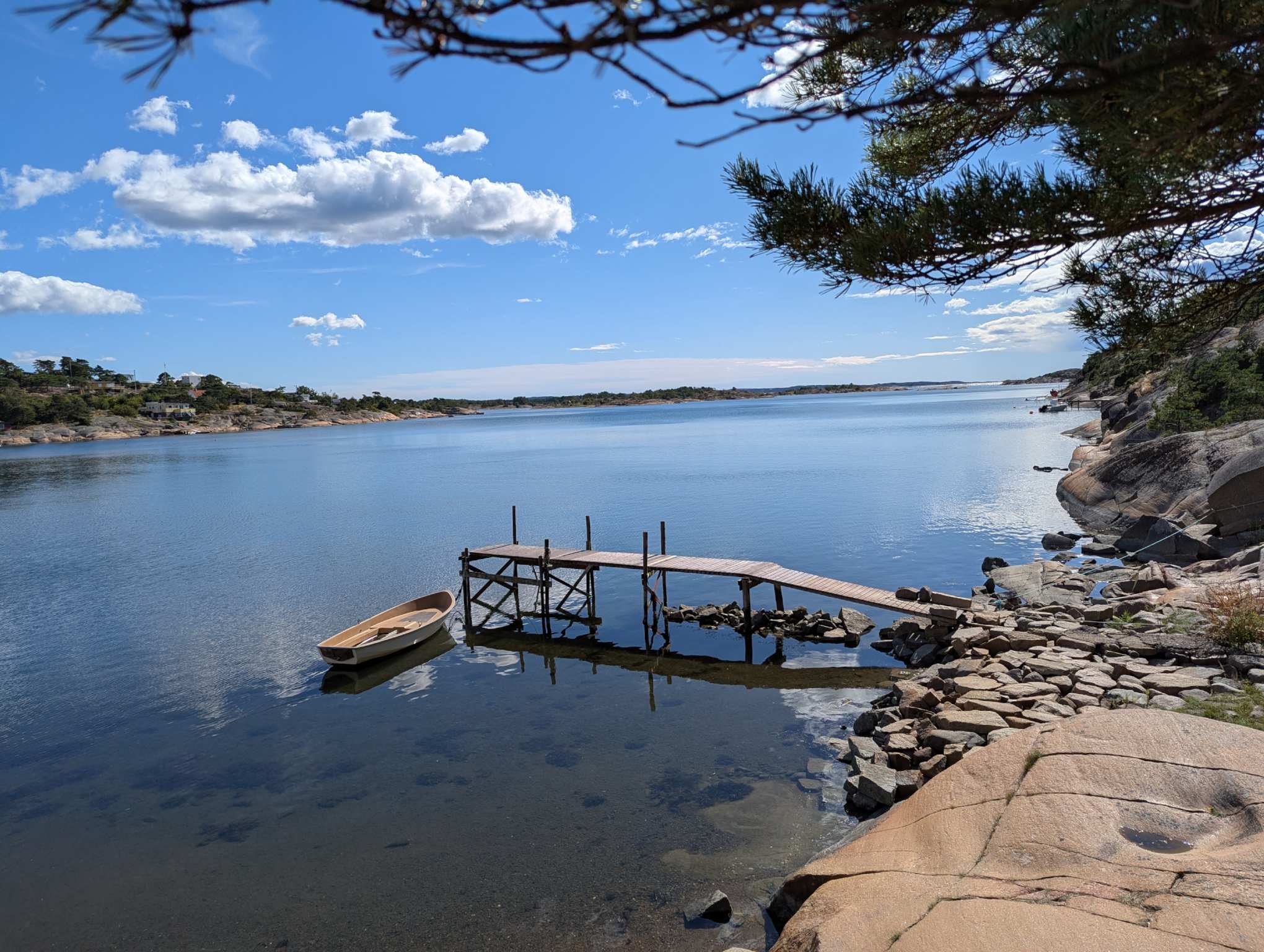 ccf056d8-339f-4b77-b598-f5c4ec4c0521