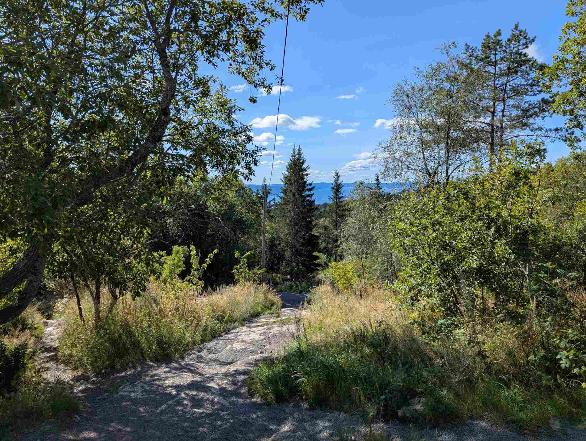 d109e018-b603-41c8-a22d-0f4c3225bf86