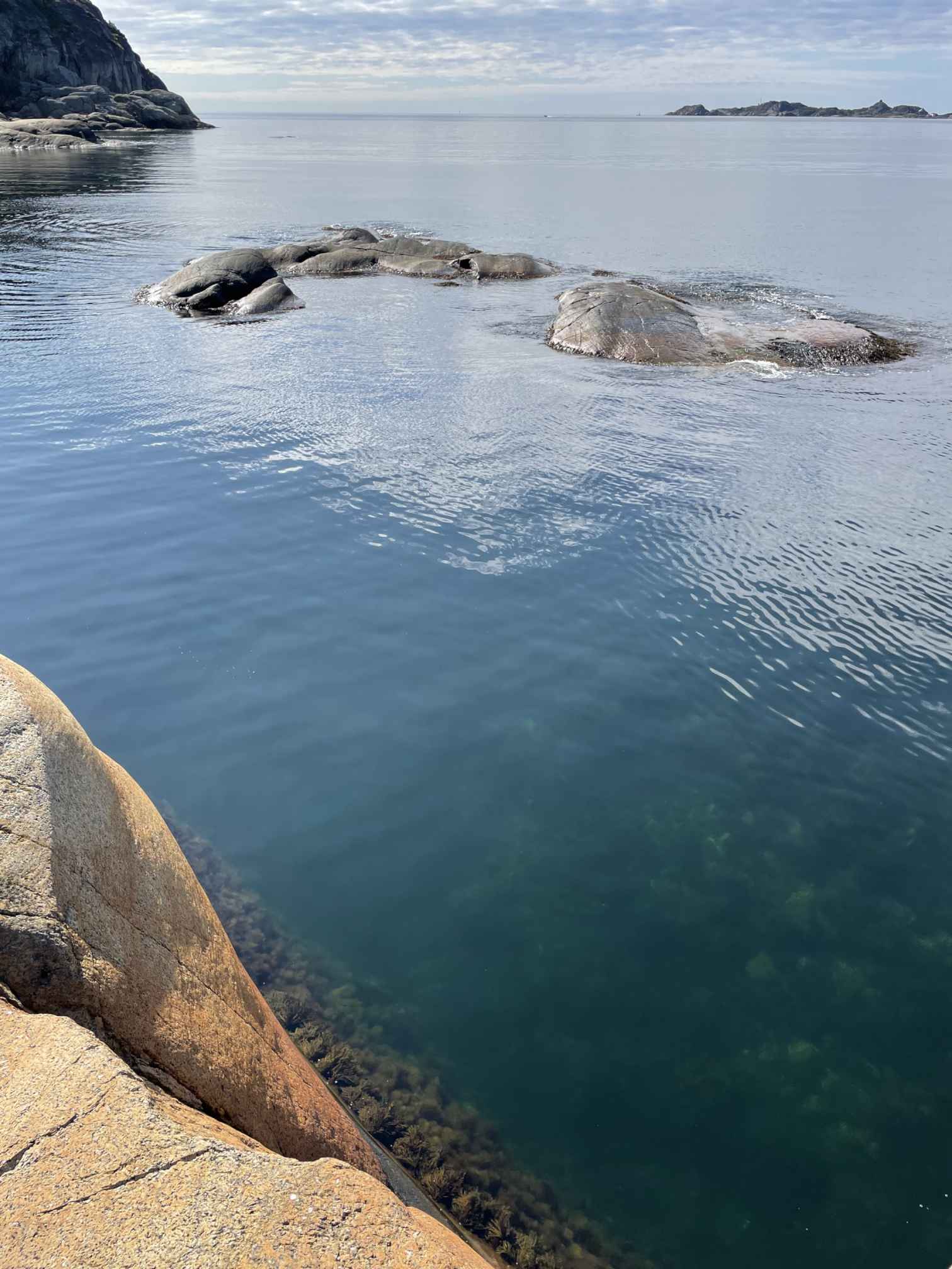 d5376517-355a-4089-897d-1d64f556cb46