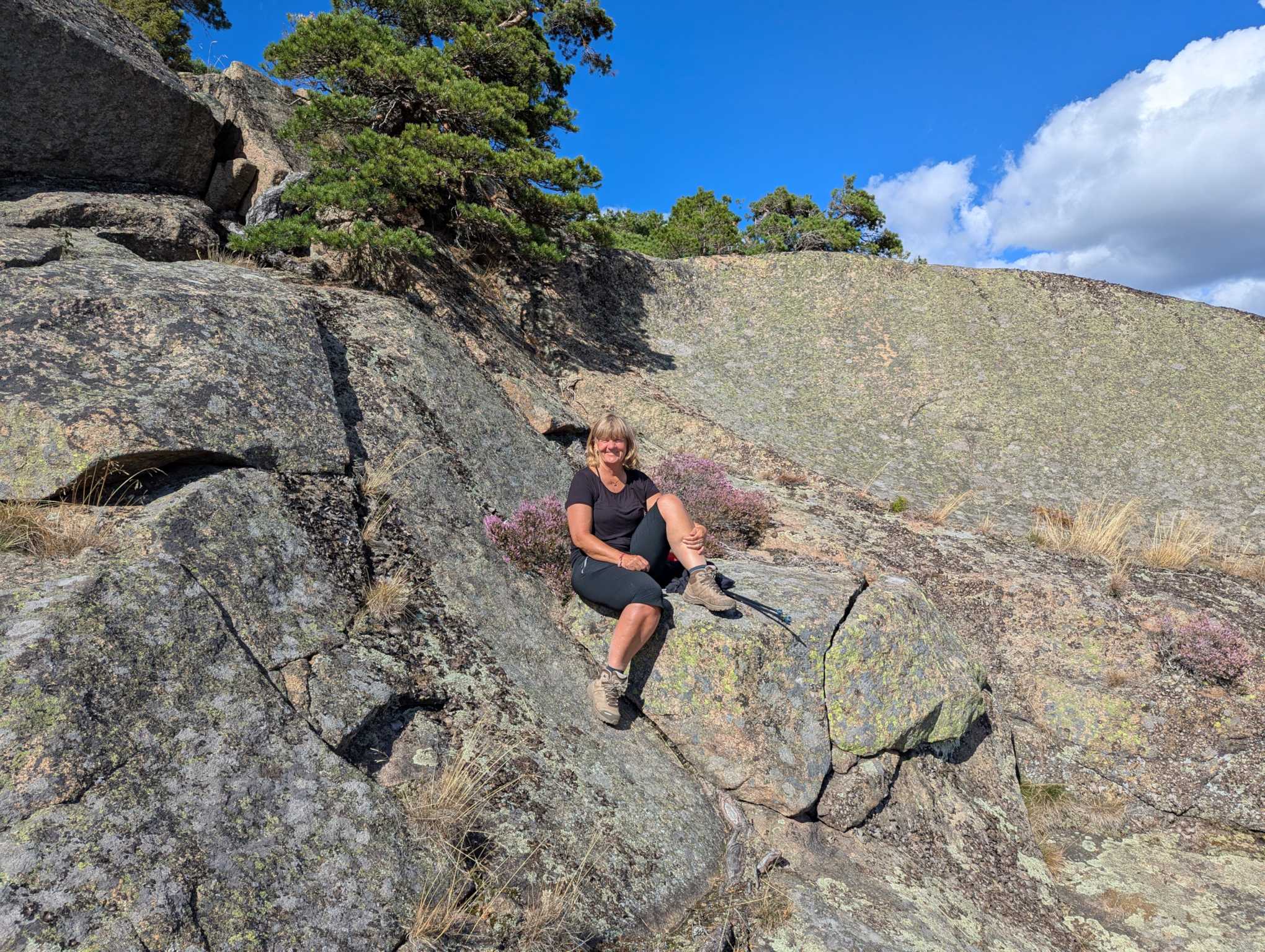 e6fe0c52-ee15-4bb1-acdf-2db8710d3940