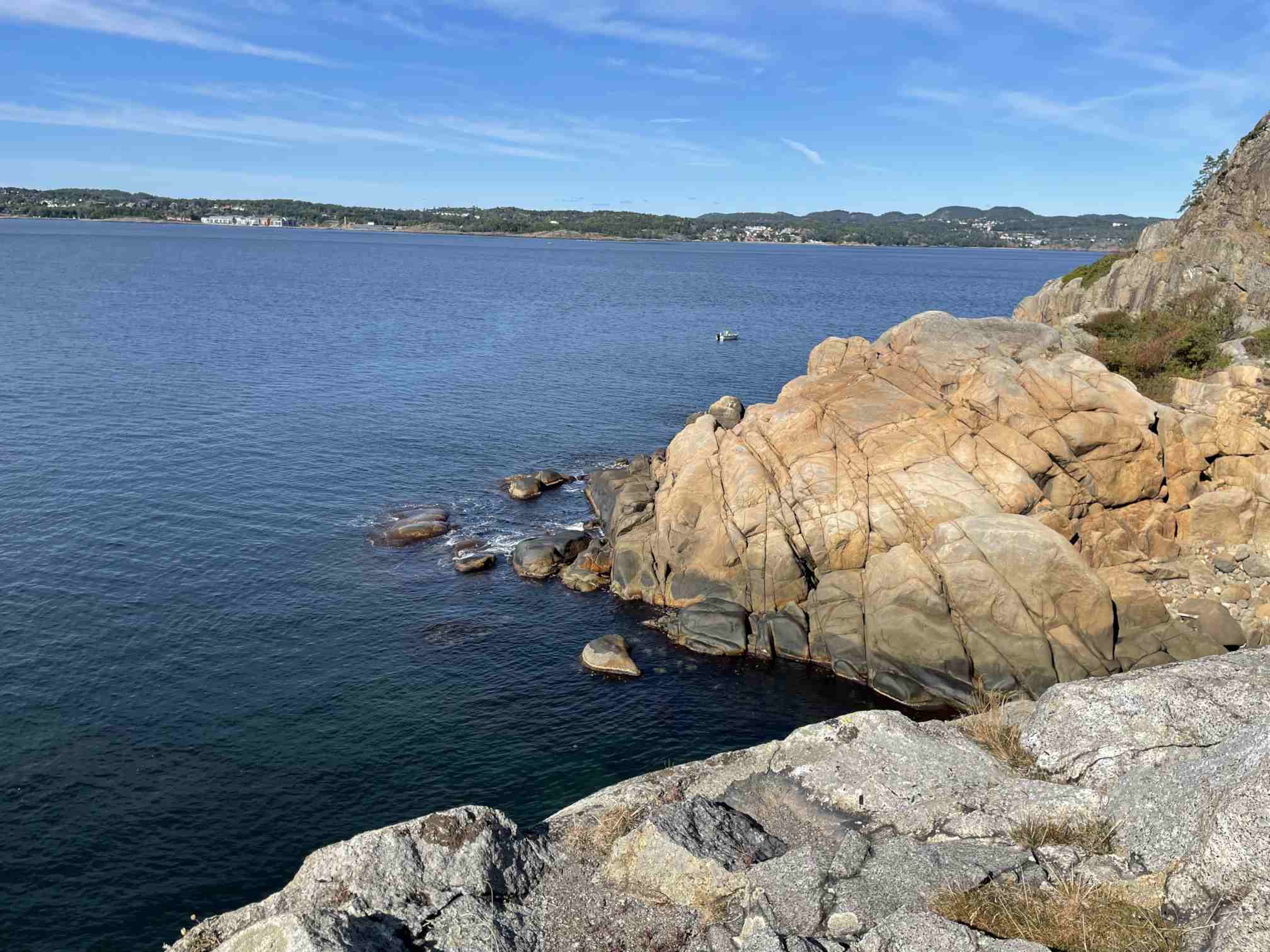 e8d7966e-3319-4b7f-af94-543216f880f0