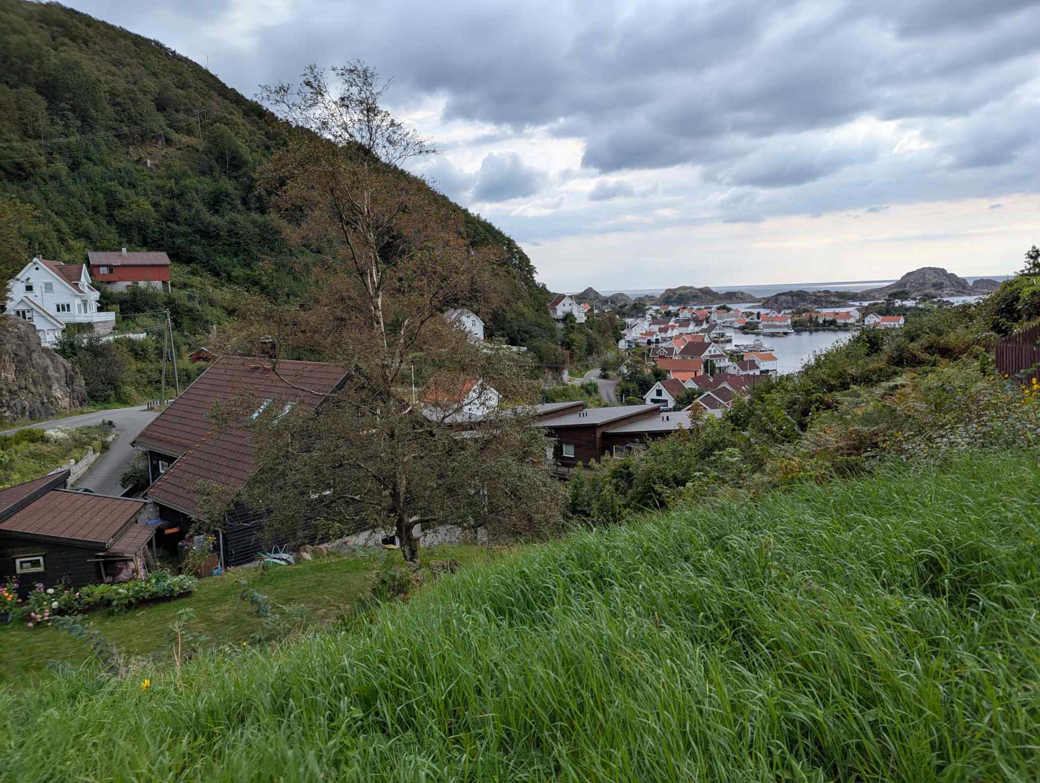 ed8cc46b-7634-467e-9ceb-59e4f4958714