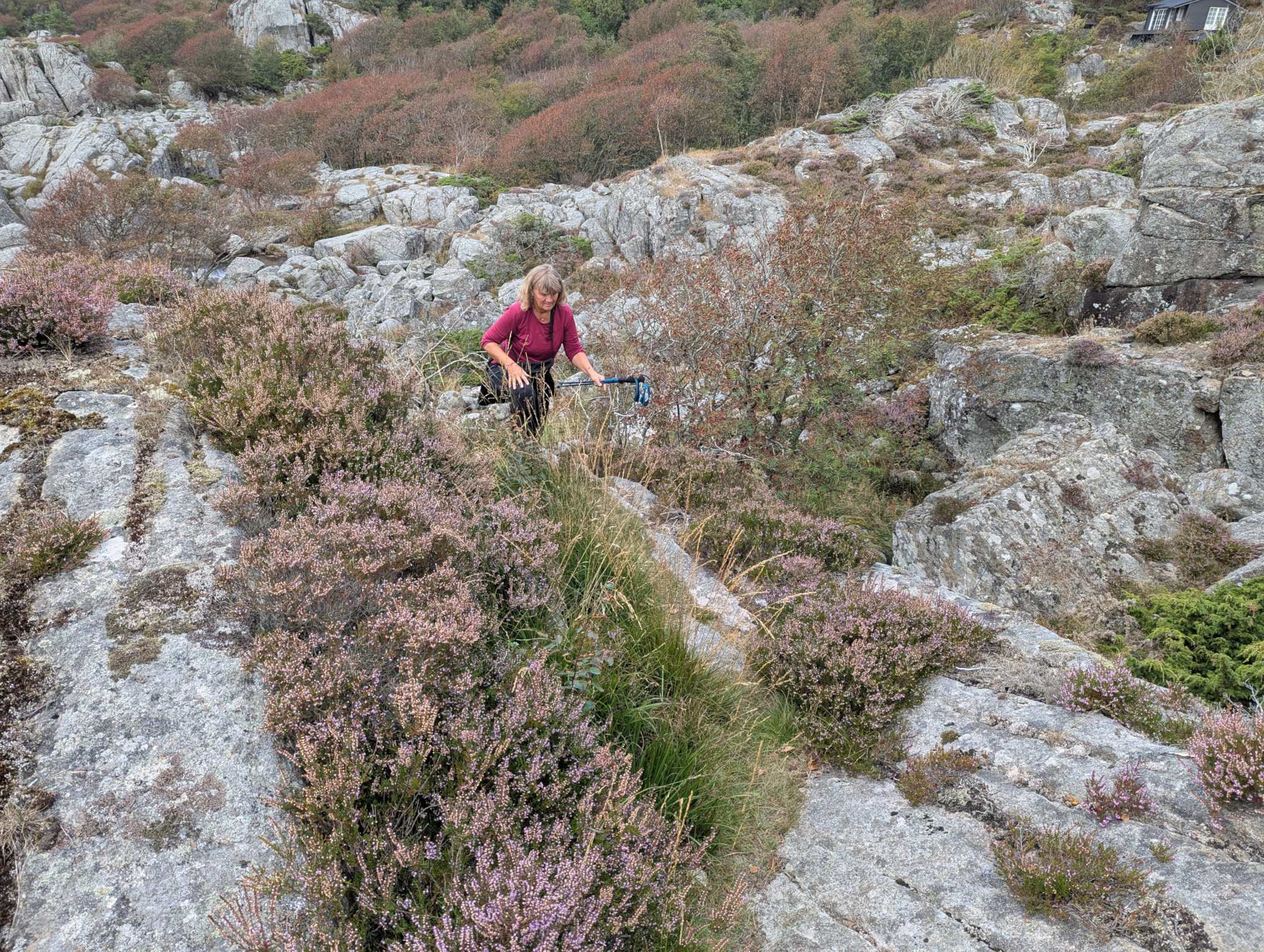 f5544a39-7054-4d0d-9e5b-ccd53d9c166f